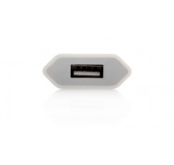 1000mA USB Power Adapter/Wall Charger (EU)